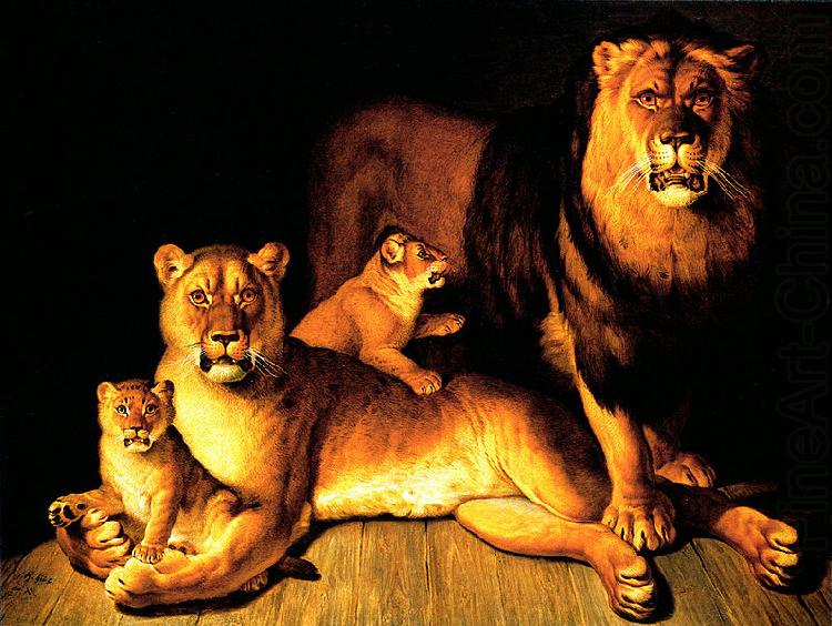A pride of lions, Jean Baptiste Huet